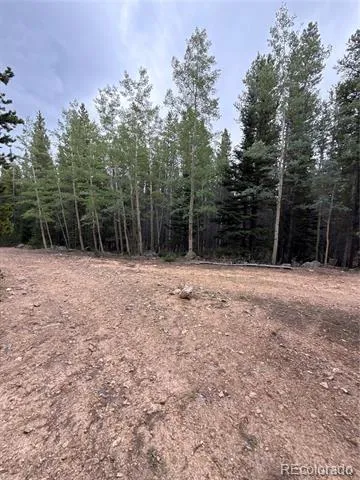 111 Green Court Idaho Springs, CO 80452