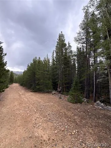 111 Green Court Idaho Springs, CO 80452