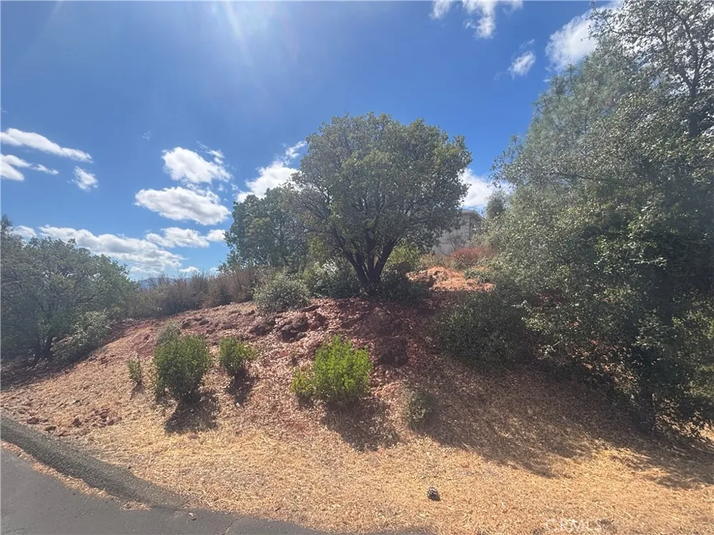 15909 Little Peak Hidden Valley Lake, CA 95467