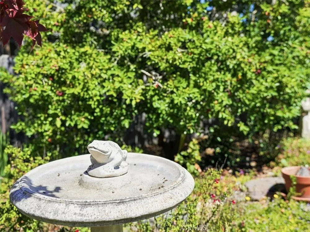 2512 Pineridge Cambria, CA 93428