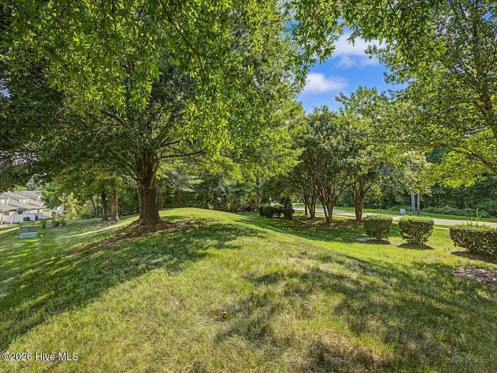 10163 Bessborough Drive Raleigh, NC 27617
