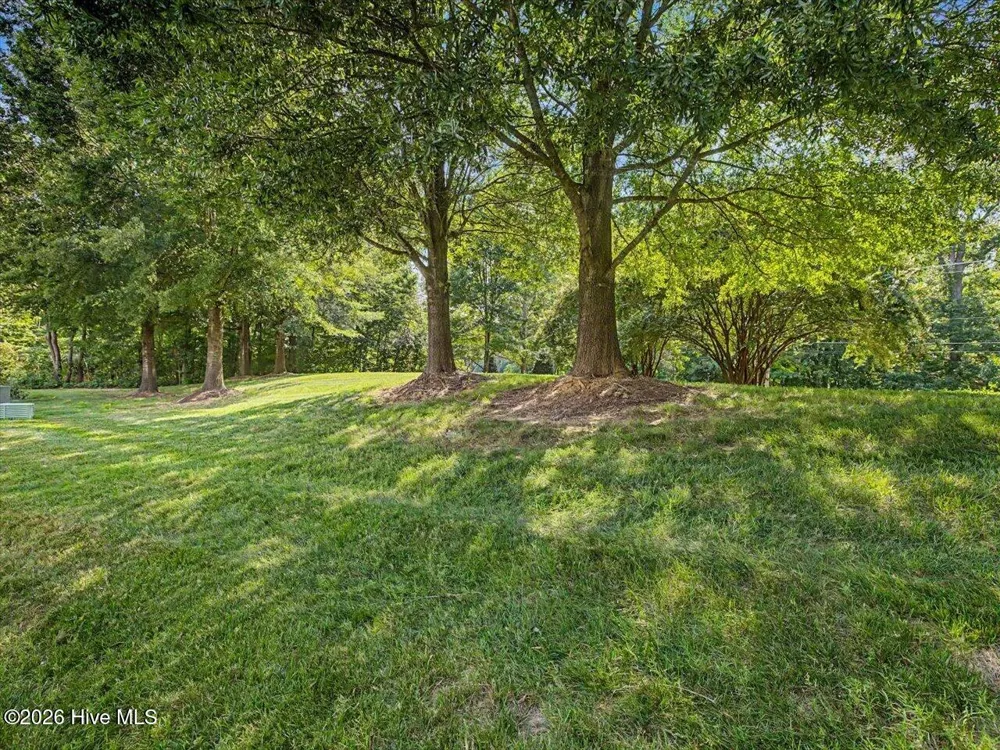 10163 Bessborough Drive Raleigh, NC 27617