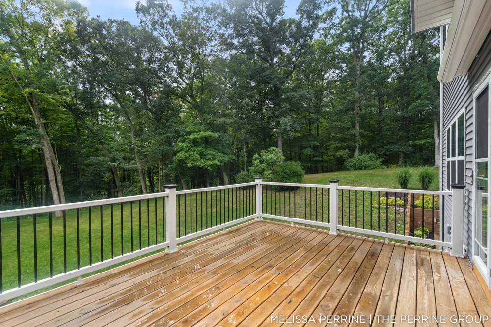 12125 Cherry Creek Ridge NE Vergennes Township, MI 49331