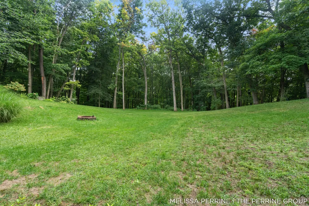 12125 Cherry Creek Ridge NE Vergennes Township, MI 49331