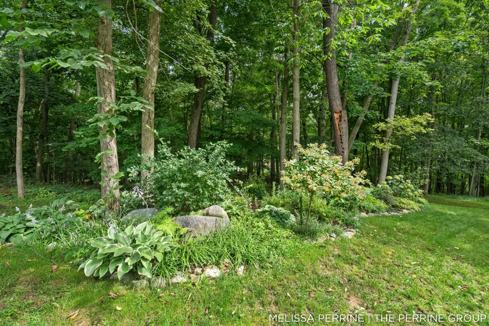 12125 Cherry Creek Ridge NE Vergennes Township, MI 49331