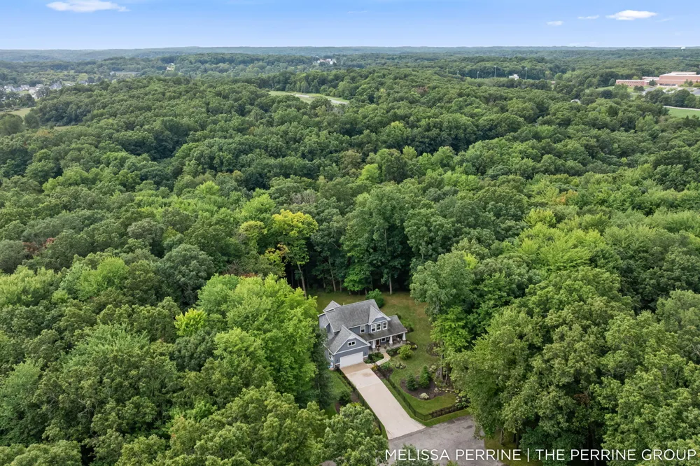 12125 Cherry Creek Ridge NE Vergennes Township, MI 49331