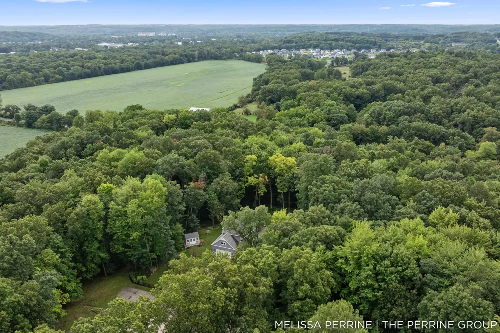 12125 Cherry Creek Ridge NE Vergennes Township, MI 49331