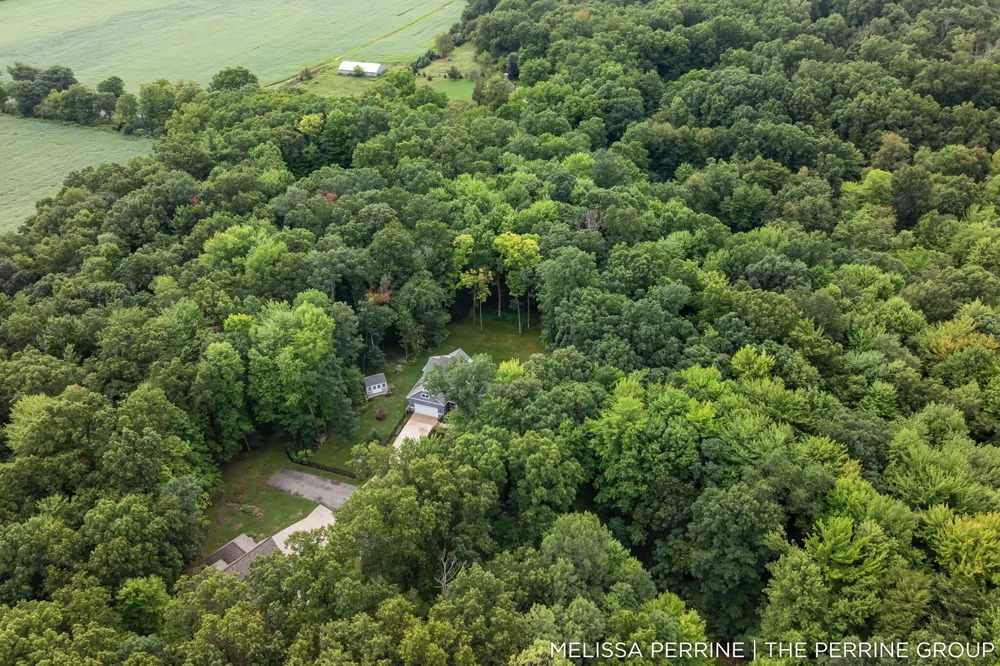 12125 Cherry Creek Ridge NE Vergennes Township, MI 49331