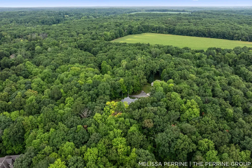 12125 Cherry Creek Ridge NE Vergennes Township, MI 49331