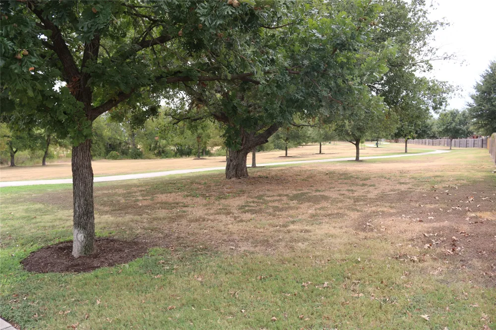 8213 Reggio Street Round Rock, TX 78665
