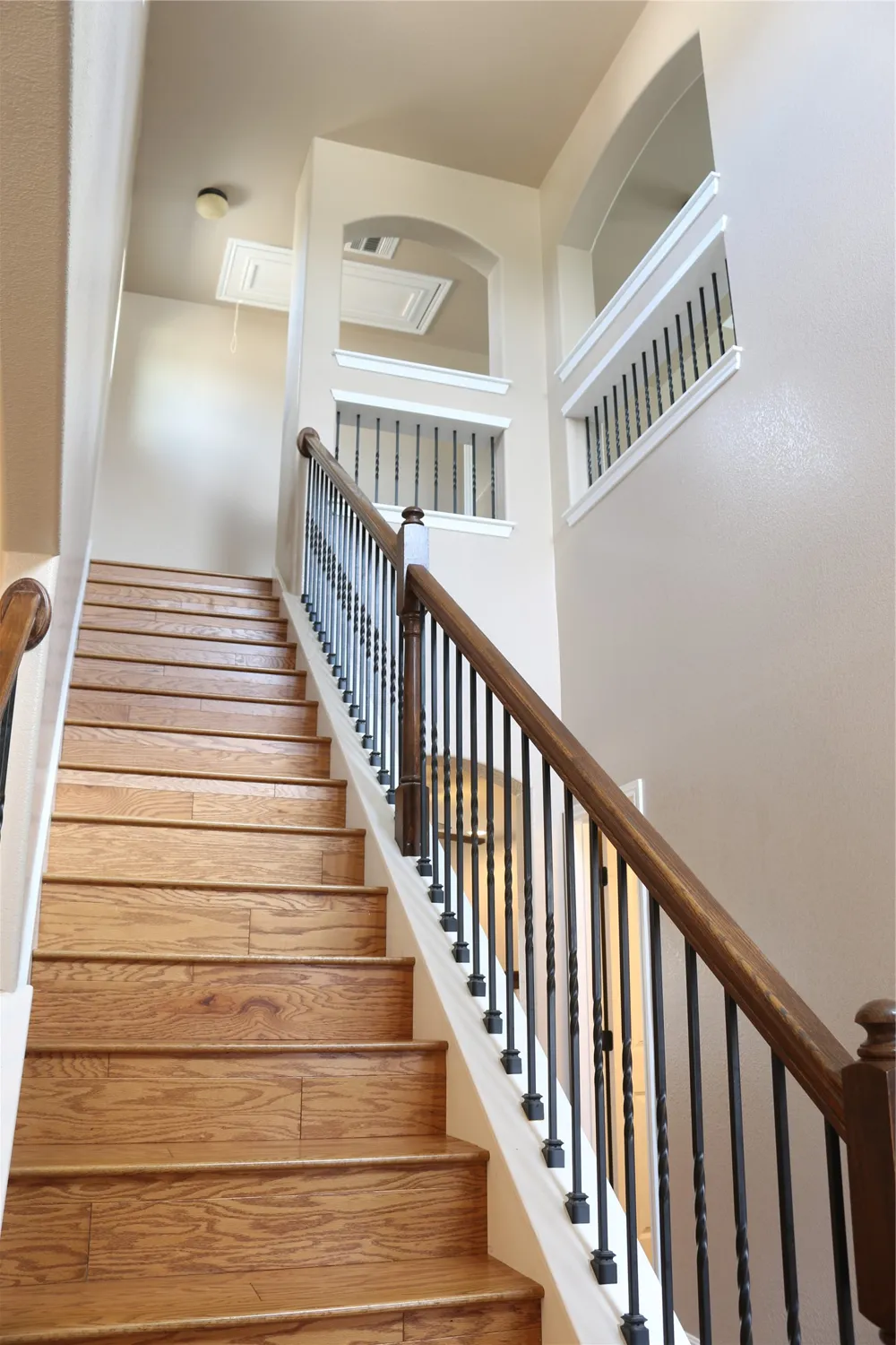 8213 Reggio Street Round Rock, TX 78665