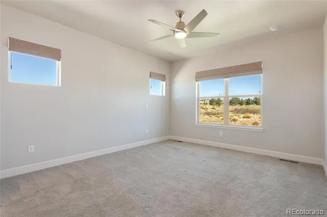 6731 Zebra Grass Lane Parker, CO 80138