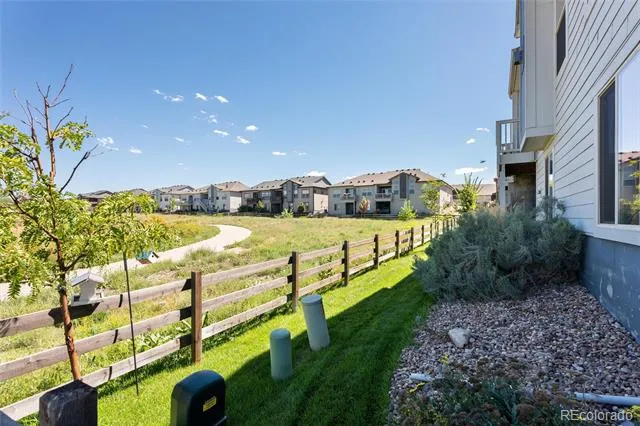 6731 Zebra Grass Lane Parker, CO 80138