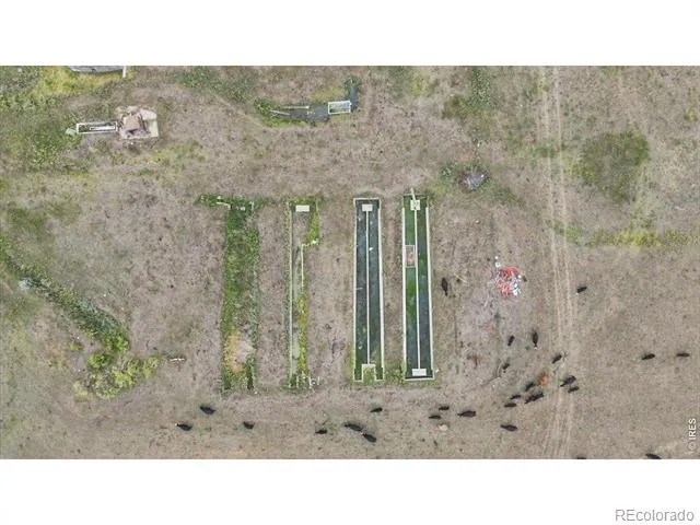 1127 W County Road 66 Fort Collins, CO 80524