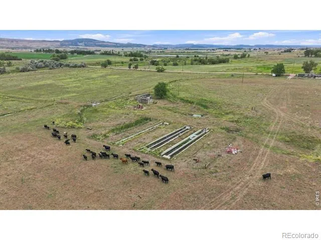 1127 W County Road 66 Fort Collins, CO 80524