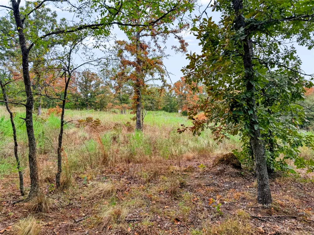 3607 S Half Bank Road Atoka, OK 74525