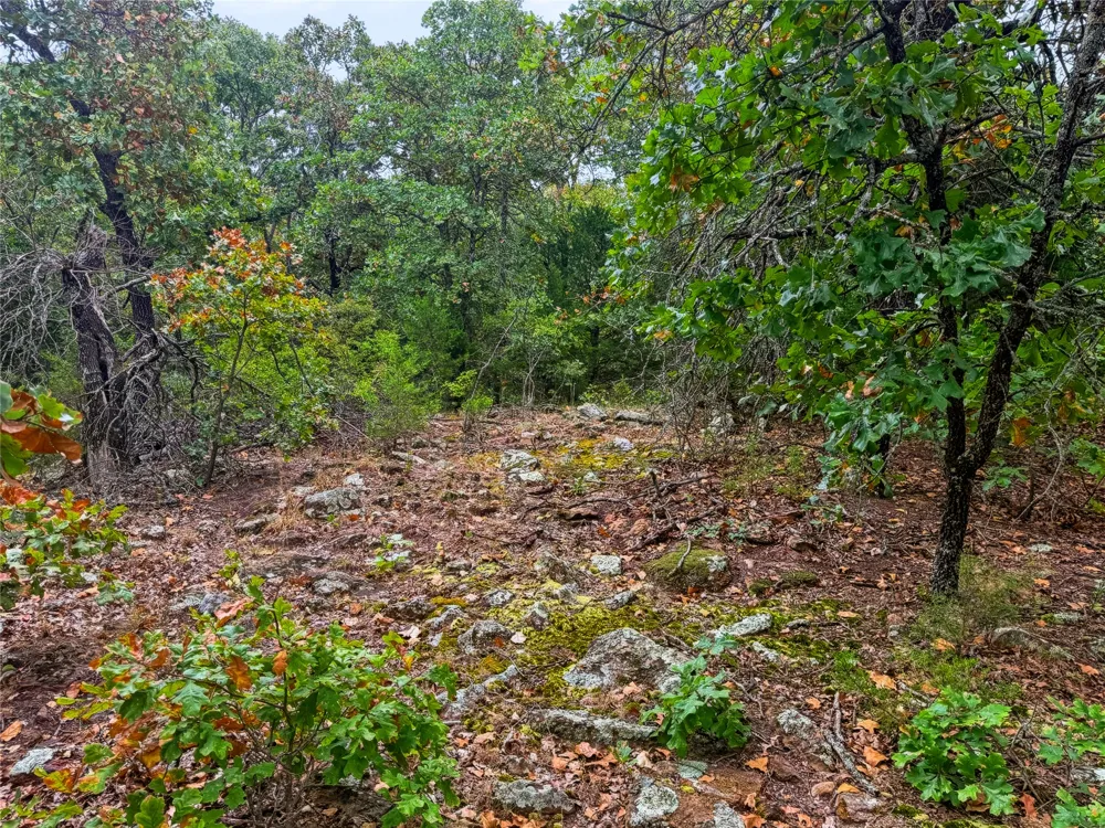 3607 S Half Bank Road Atoka, OK 74525