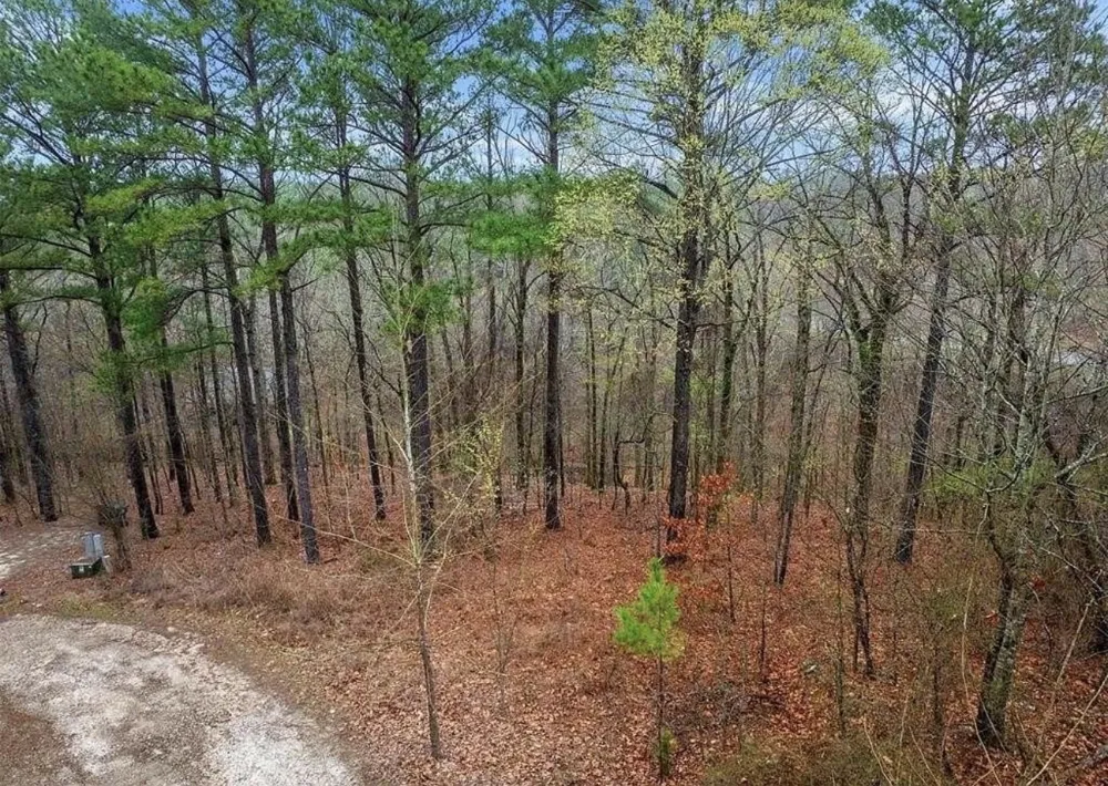 217 Hochapine Trail Broken Bow, OK 74728
