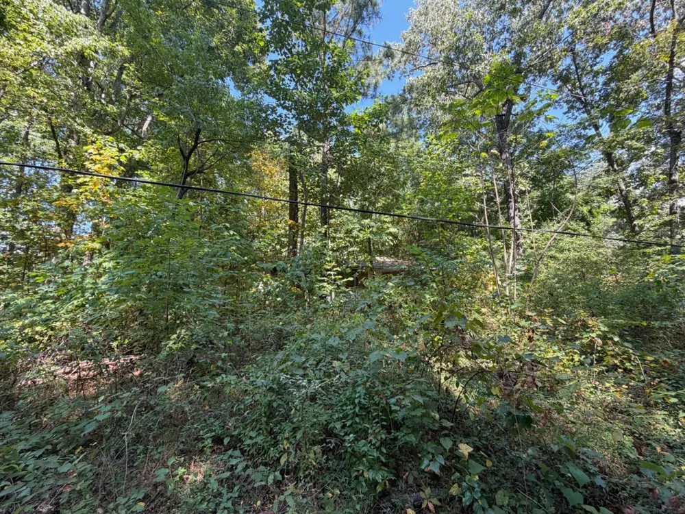 2742 Michigan Avenue Rd NE Cleveland, TN 37323