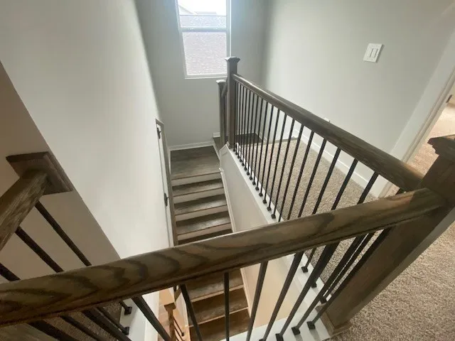 4301 Scarlet Court Columbia, TN 38401