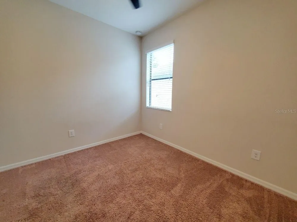 10031 NEWMINSTER LOOP Ruskin, FL 33573