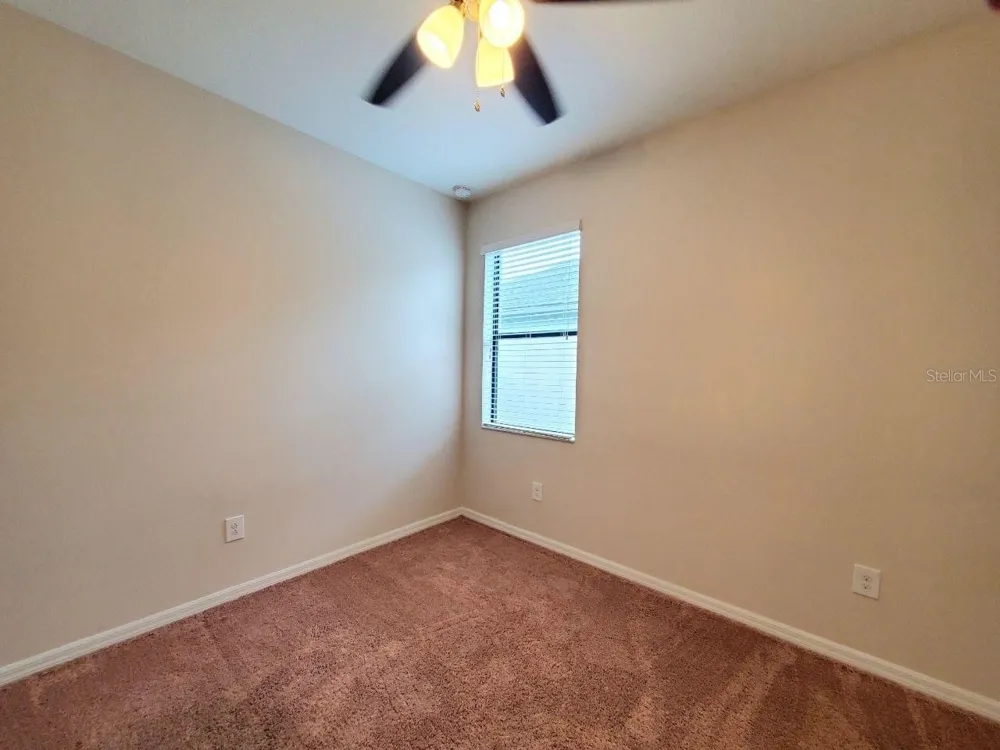 10031 NEWMINSTER LOOP Ruskin, FL 33573