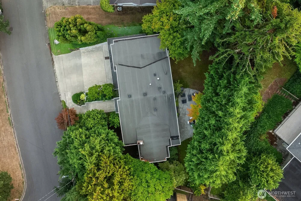 909 110th Avenue SE Bellevue, WA 98004