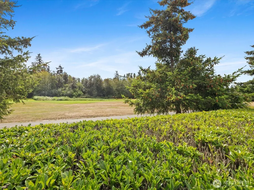 11613 Grove Drive Mukilteo, WA 98275