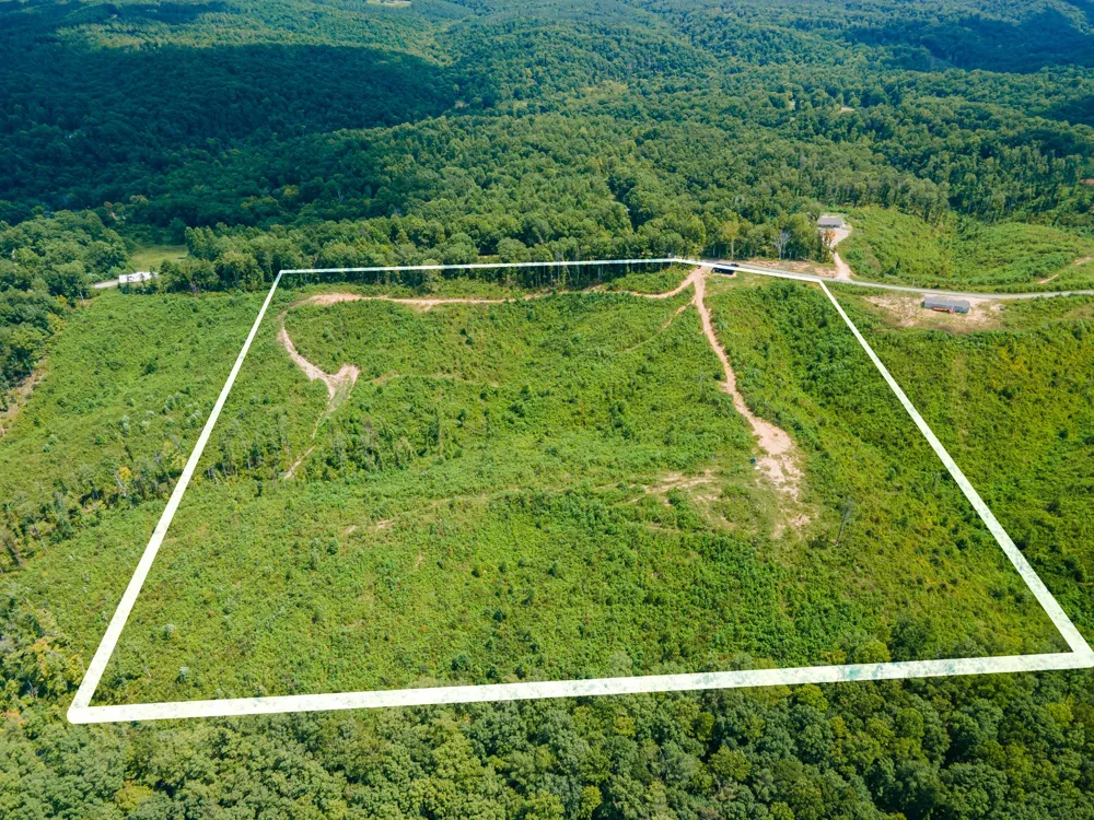 483 Springer Rd Hohenwald, TN 38462