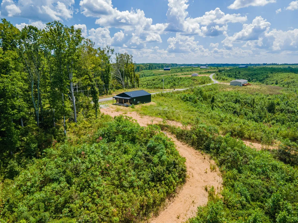 483 Springer Rd Hohenwald, TN 38462