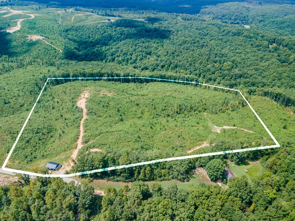 483 Springer Rd Hohenwald, TN 38462