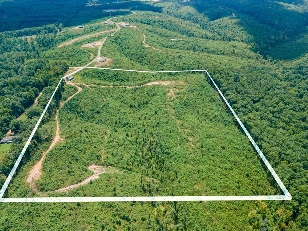 483 Springer Rd Hohenwald, TN 38462