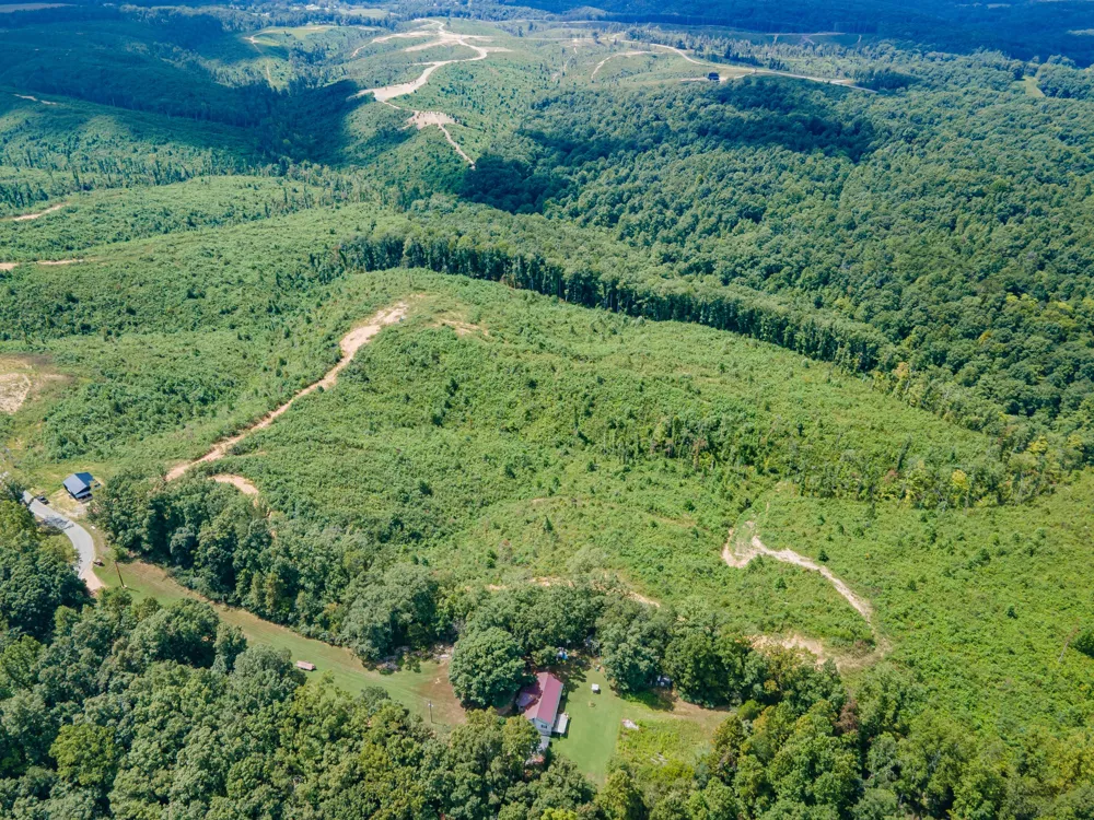 483 Springer Rd Hohenwald, TN 38462