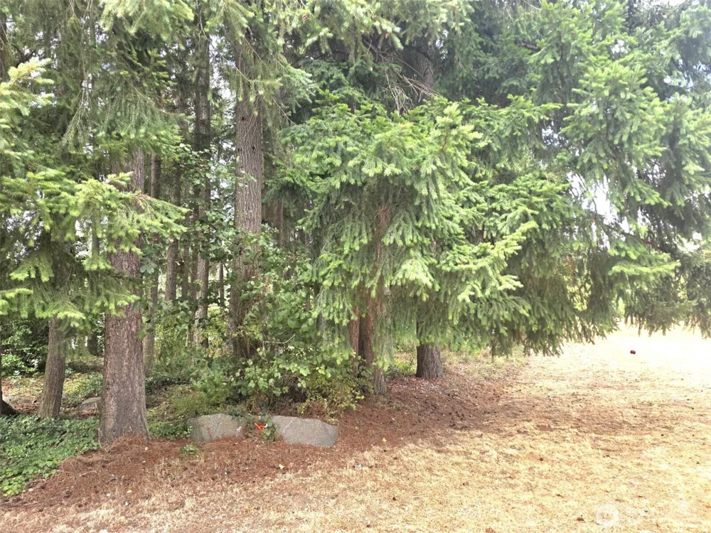 17114 153rd Avenue SE #17 Yelm, WA 98597