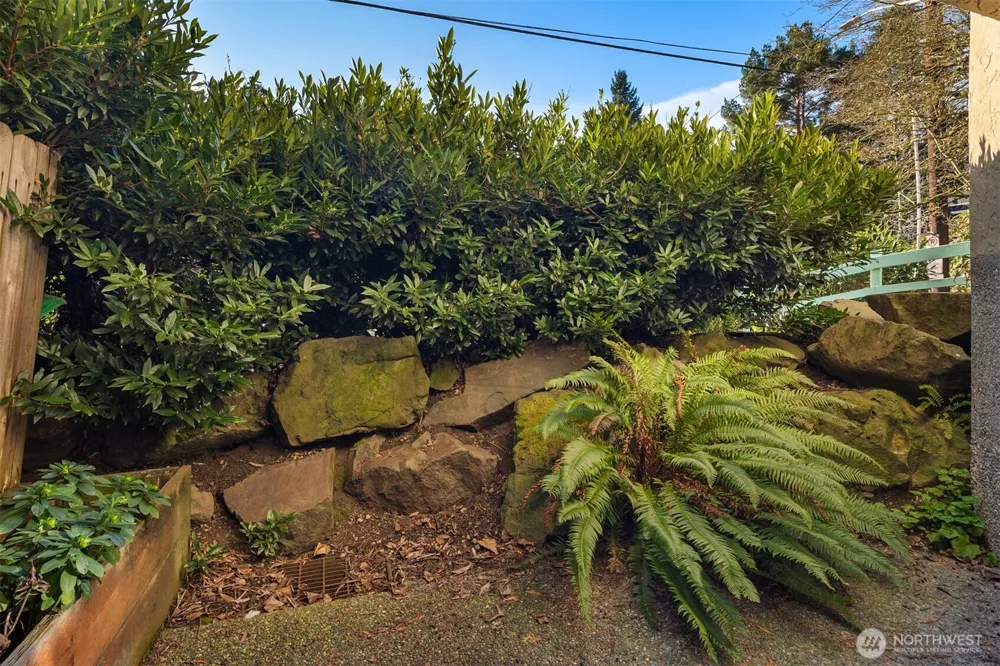 3024 NE 143rd Street #103 Seattle, WA 98125