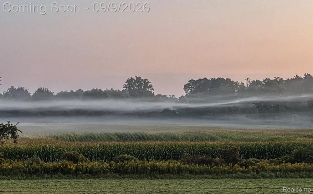 4701 E Allen Road Locke Township, MI 48892