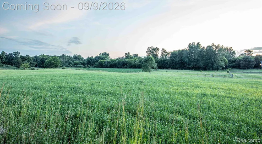 4701 E Allen Road Locke Township, MI 48892