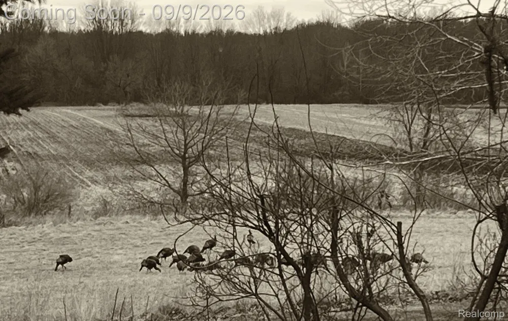 4701 E Allen Road Locke Township, MI 48892