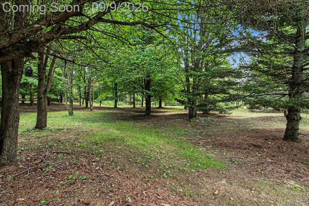 4701 E Allen Road Locke Township, MI 48892