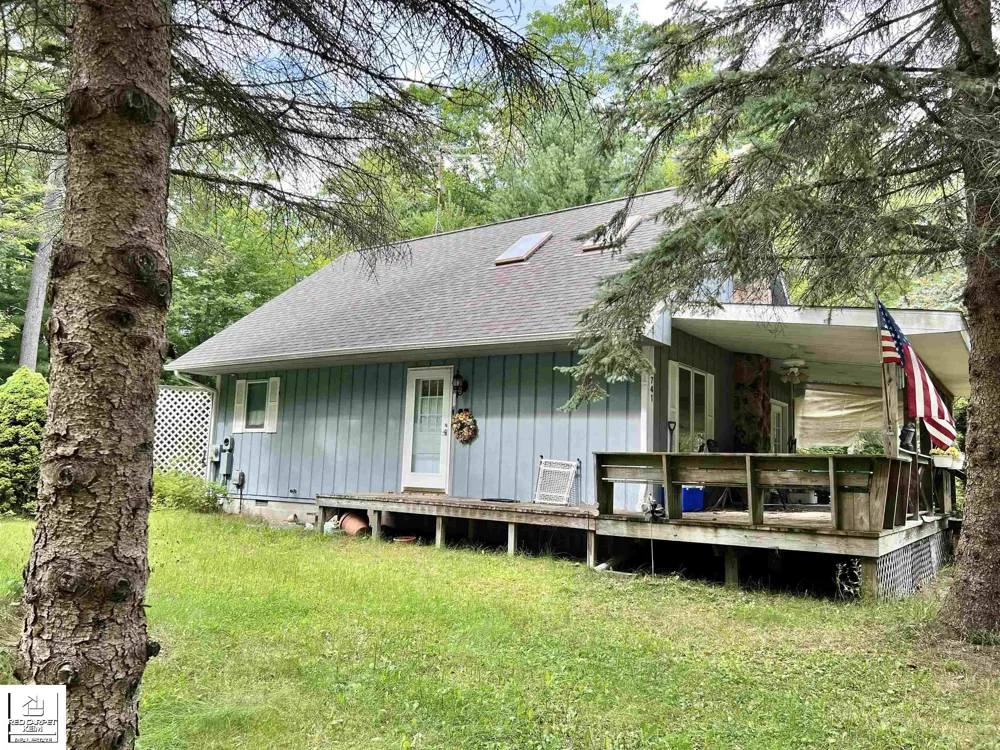 1741 Columbine Street Baldwin Township, MI 48730