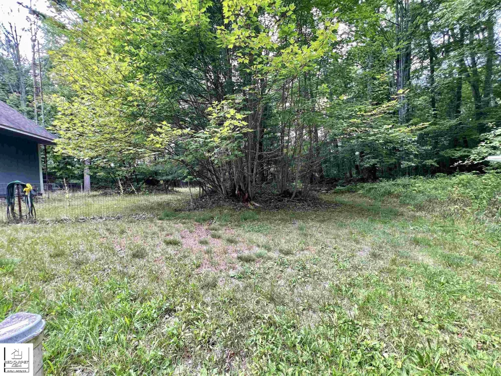 1741 Columbine Street Baldwin Township, MI 48730