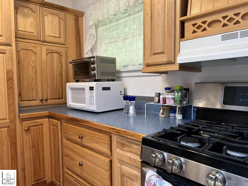 1741 Columbine Street Baldwin Township, MI 48730