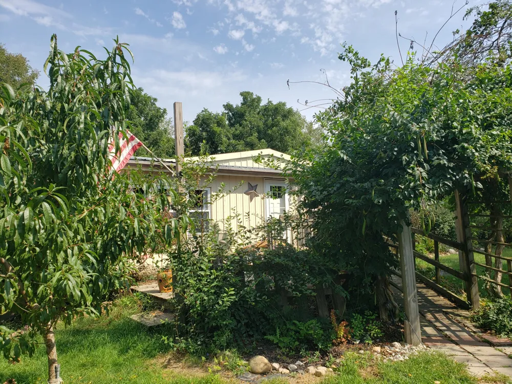340 Albright Road Bethel Township, MI 49036