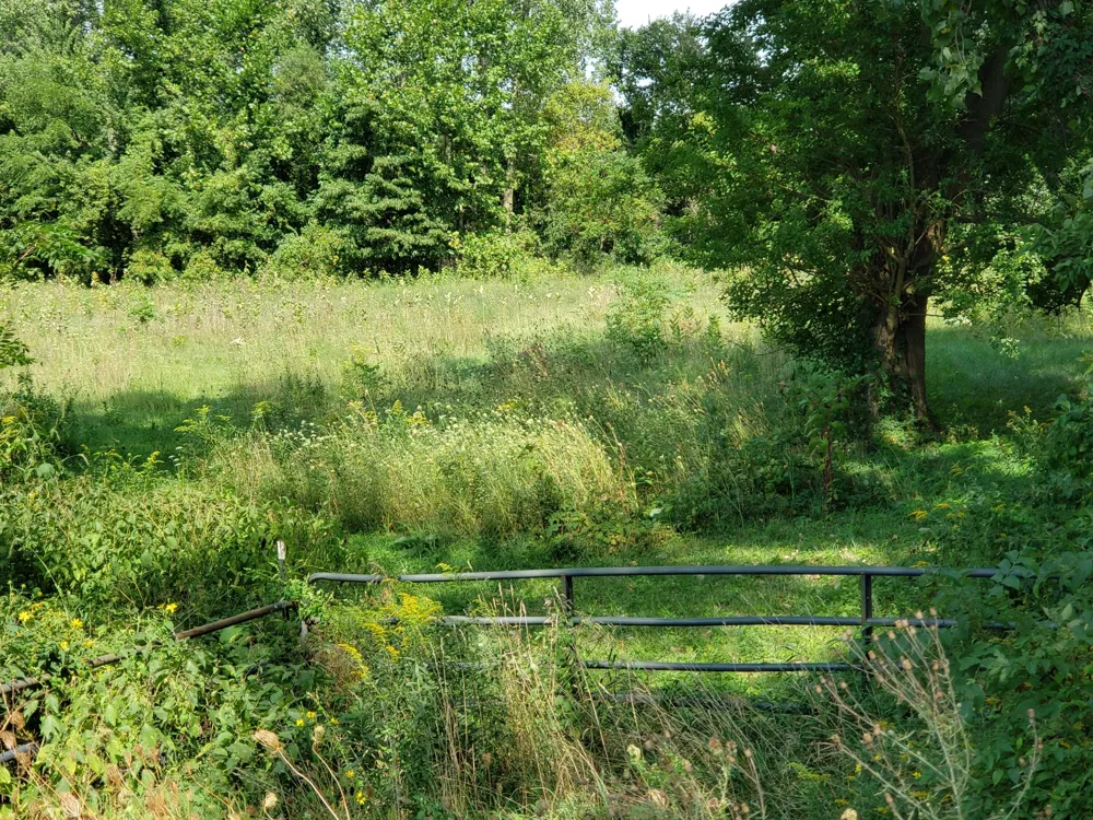340 Albright Road Bethel Township, MI 49036