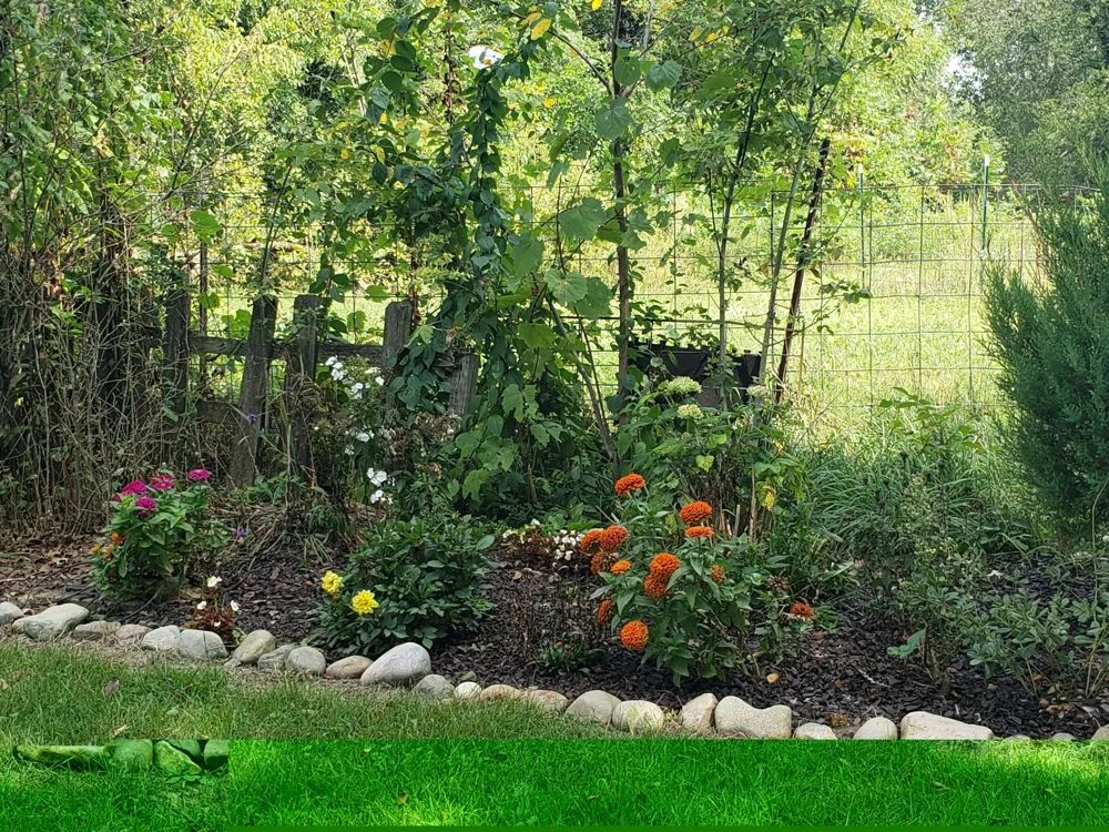 340 Albright Road Bethel Township, MI 49036