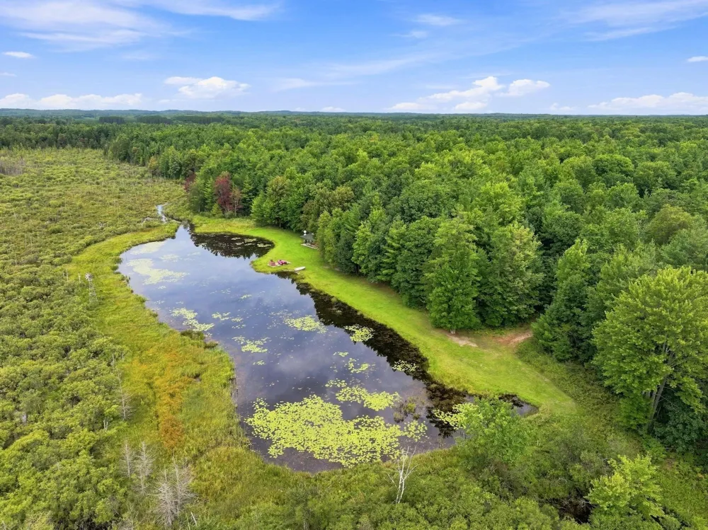 6601 Drake Drive Haring Charter Township, MI 49601