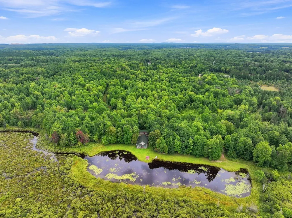 6601 Drake Drive Haring Charter Township, MI 49601
