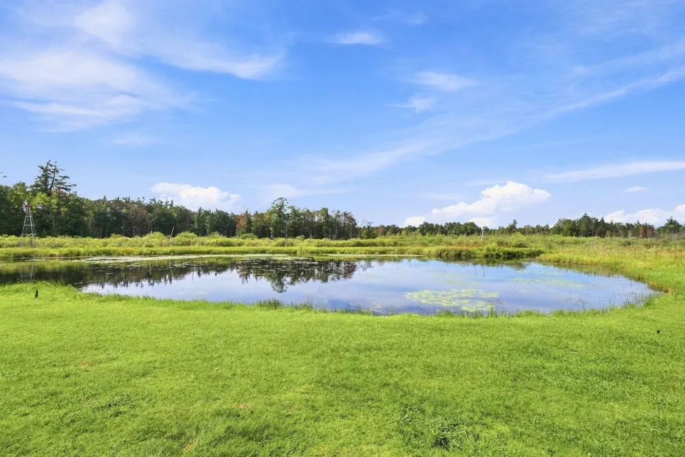 6601 Drake Drive Haring Charter Township, MI 49601