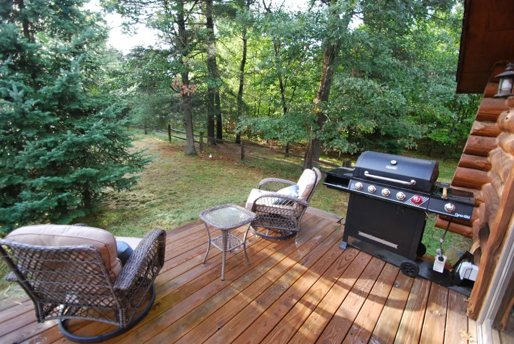3086 Raymond Gradowski Drive Mills Township, MI 48661