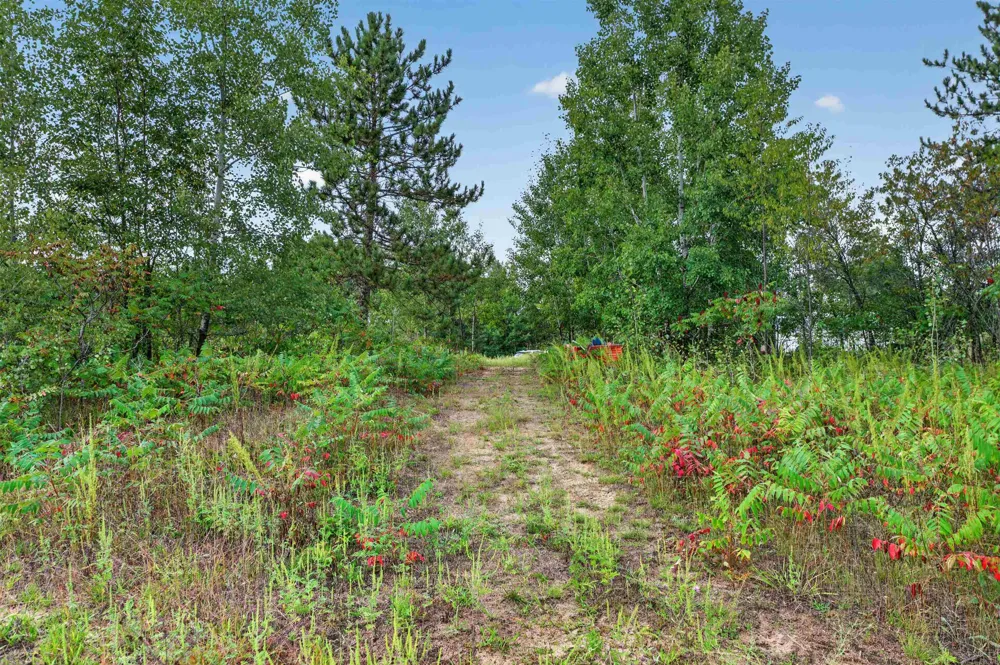 6207 Gonyer Road SW Springfield Township, MI 49633